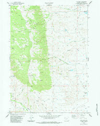 The Horn Wyoming Historical topographic map, 1:24000 scale, 7.5 X 7.5 Minute, Year 1984