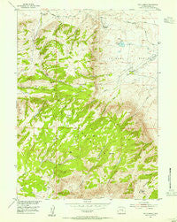 The Q Ranch Wyoming Historical topographic map, 1:24000 scale, 7.5 X 7.5 Minute, Year 1953