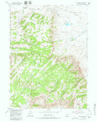 The Q Ranch Wyoming Historical topographic map, 1:24000 scale, 7.5 X 7.5 Minute, Year 1953