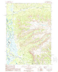 The Trident Wyoming Historical topographic map, 1:24000 scale, 7.5 X 7.5 Minute, Year 1989