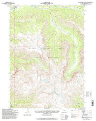 Thorofare Plateau Wyoming Historical topographic map, 1:24000 scale, 7.5 X 7.5 Minute, Year 1996
