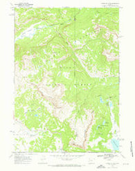 Togwotee Pass Wyoming Historical topographic map, 1:24000 scale, 7.5 X 7.5 Minute, Year 1965