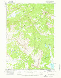 Togwotee Pass Wyoming Historical topographic map, 1:24000 scale, 7.5 X 7.5 Minute, Year 1965
