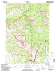 Togwotee Pass Wyoming Historical topographic map, 1:24000 scale, 7.5 X 7.5 Minute, Year 1991