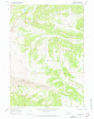 Tosi Peak Wyoming Historical topographic map, 1:24000 scale, 7.5 X 7.5 Minute, Year 1967