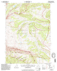 Tosi Peak Wyoming Historical topographic map, 1:24000 scale, 7.5 X 7.5 Minute, Year 1996