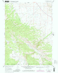 Trent Creek Wyoming Historical topographic map, 1:24000 scale, 7.5 X 7.5 Minute, Year 1961