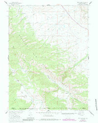 Trent Creek Wyoming Historical topographic map, 1:24000 scale, 7.5 X 7.5 Minute, Year 1961