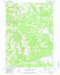 Triple Peak Wyoming Historical topographic map, 1:24000 scale, 7.5 X 7.5 Minute, Year 1980