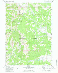 Triple Peak Wyoming Historical topographic map, 1:24000 scale, 7.5 X 7.5 Minute, Year 1980