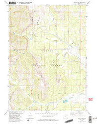 Triple Peak Wyoming Historical topographic map, 1:24000 scale, 7.5 X 7.5 Minute, Year 1980