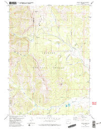 Triple Peak Wyoming Historical topographic map, 1:24000 scale, 7.5 X 7.5 Minute, Year 1980