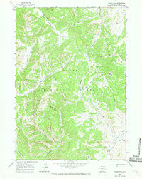 Tripod Peak Wyoming Historical topographic map, 1:24000 scale, 7.5 X 7.5 Minute, Year 1965