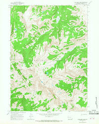 Turquoise Lake Wyoming Historical topographic map, 1:24000 scale, 7.5 X 7.5 Minute, Year 1965