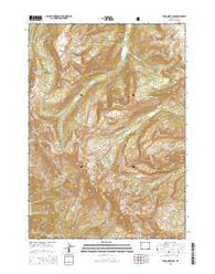 Turquoise Lake Wyoming Current topographic map, 1:24000 scale, 7.5 X 7.5 Minute, Year 2015