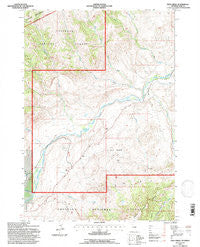 Twin Creek Wyoming Historical topographic map, 1:24000 scale, 7.5 X 7.5 Minute, Year 1991