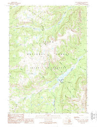 Two Ocean Pass Wyoming Historical topographic map, 1:24000 scale, 7.5 X 7.5 Minute, Year 1989