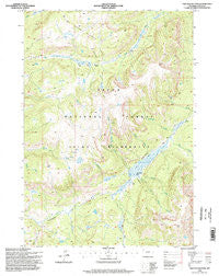 Two Ocean Pass Wyoming Historical topographic map, 1:24000 scale, 7.5 X 7.5 Minute, Year 1996