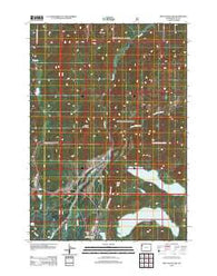 Two Ocean Lake Wyoming Historical topographic map, 1:24000 scale, 7.5 X 7.5 Minute, Year 2012