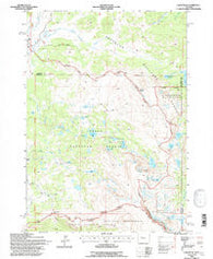 Union Peak Wyoming Historical topographic map, 1:24000 scale, 7.5 X 7.5 Minute, Year 1991
