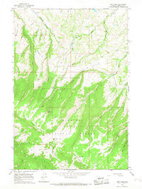 West Pass Wyoming Historical topographic map, 1:24000 scale, 7.5 X 7.5 Minute, Year 1964