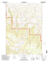 West Pass Wyoming Historical topographic map, 1:24000 scale, 7.5 X 7.5 Minute, Year 1993