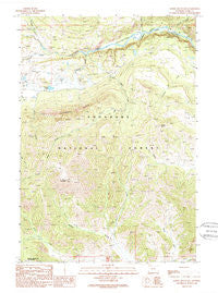Windy Mountain Wyoming Historical topographic map, 1:24000 scale, 7.5 X 7.5 Minute, Year 1989