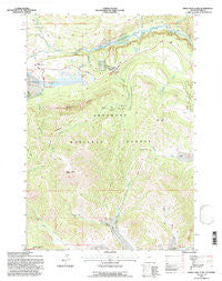 Windy Mountain Wyoming Historical topographic map, 1:24000 scale, 7.5 X 7.5 Minute, Year 1991