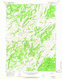 Windy Peak Wyoming Historical topographic map, 1:24000 scale, 7.5 X 7.5 Minute, Year 1964