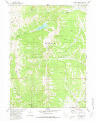 Wyoming Peak Wyoming Historical topographic map, 1:24000 scale, 7.5 X 7.5 Minute, Year 1980