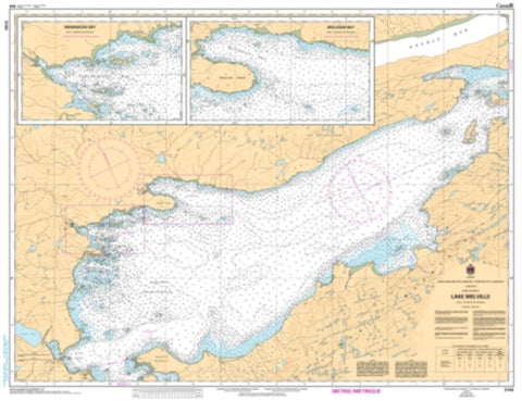 Buy map Lake Melville by Canadian Hydrographic Service
