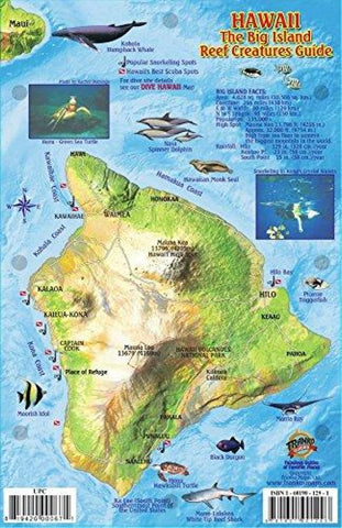 Buy map Hawaii, The Big Island, Reef Creatures Guide by Frankos Maps Ltd.