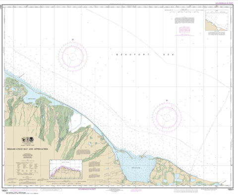 Buy map Demarcation Bay and approaches (16041-9) by NOAA