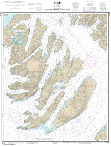 Buy map Latouche Passage to Whale Bay (16702-14) by NOAA