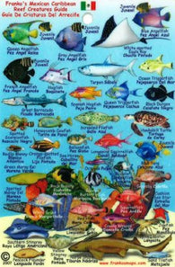 Buy map Mexican Caribbean Fish Mini-Card, 2007 by Frankos Maps Ltd.