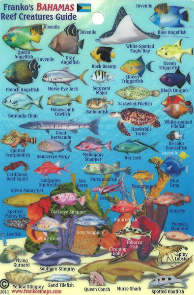 Buy map Bahamas Fish Card, Bahamas Mini Fish Card 2011 by Frankos Maps Ltd.