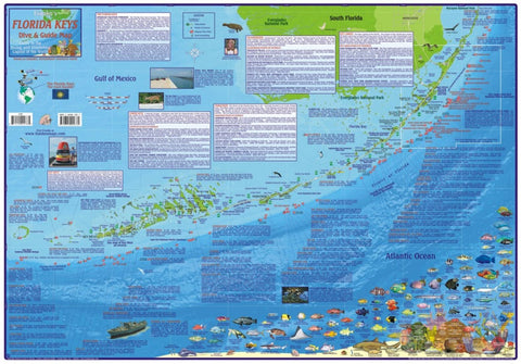 Buy map Florida Map, Florida Keys Guide and Dive,laminated, 2010 by Frankos Maps Ltd.