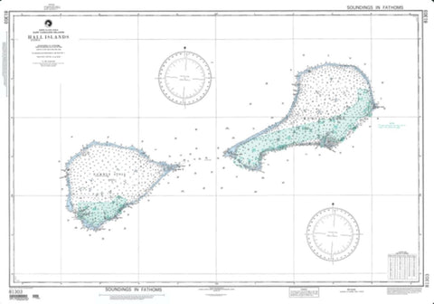 Buy map Hall Islands, East Caroline Islands (NGA-81303-2) by National Geospatial-Intelligence Agency