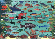 Buy map California Fish Card, HMSC Yukon 2005 by Frankos Maps Ltd.