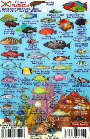 Buy map Florida Keys Mini Fish ID Card by Frankos Maps Ltd.