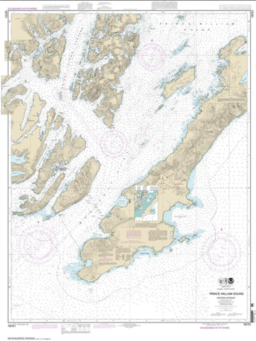 Buy map Prince William Sound-western entrance (16701-22) by NOAA