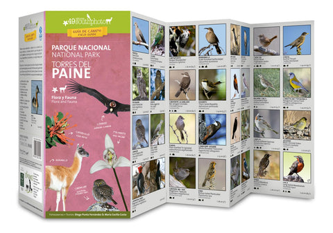 Buy map Torres del Paine National Park Field Guide (Flora & Fauna) by 49southphoto