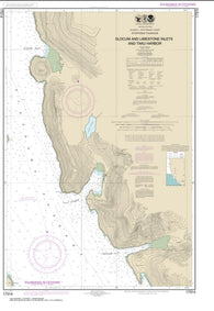 Buy map Slocum and Limestone Inlets and Taku Harbor (17314-13) by NOAA