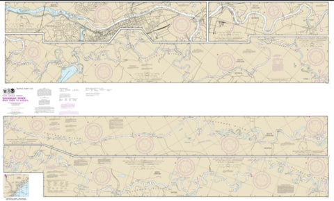 Buy map Savannah River Brier Creek to Augusta (11515-18) by NOAA