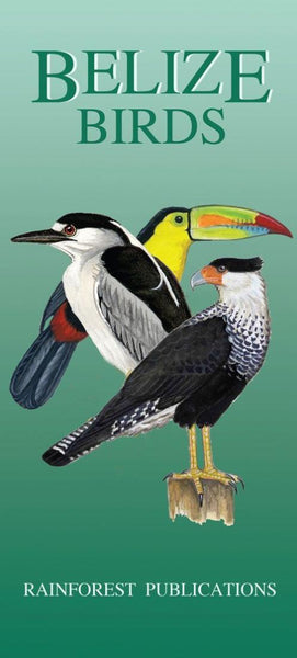 Buy map Belize Birds Reference Guide