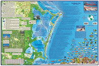 Buy map Caribbean Map, Cancun Guide and Dive, laminated, 2008 by Frankos Maps Ltd.