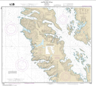 Buy map Central Dall Island and vicinity (17408-9) by NOAA
