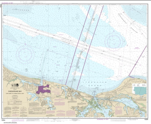Buy map Chesapeake Bay Cape Henry to Thimble Shoal Light (12254-49) by NOAA