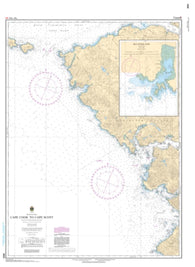 Buy map Cape Cook to Cape Scott by Canadian Hydrographic Service
