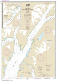 Buy map Port Wells, including College Fiord and Harriman Fiord (16711-3) by NOAA